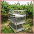Utilisation à long terme de la coopérative de poulet Cage Dubai Broiler Farm à vendre